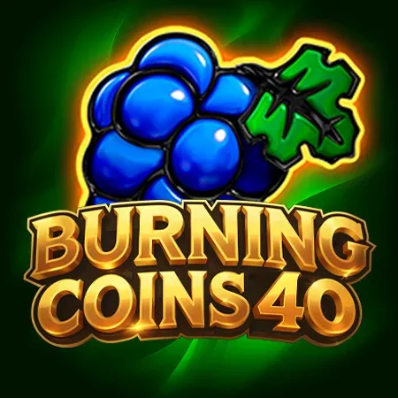Flagman Casino LV: Burning Coins 40